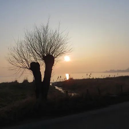 Appartement Waldrose Sellin (Rugen)