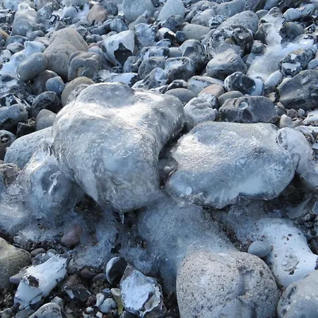 Appartement Waldrose