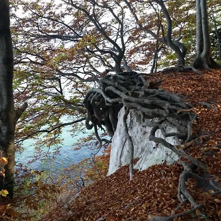 Waldrose 아파트