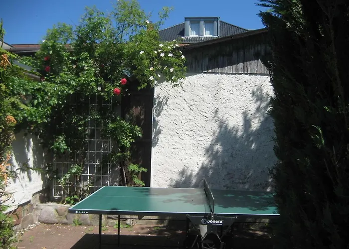 Waldrose Sellin (Rugen)