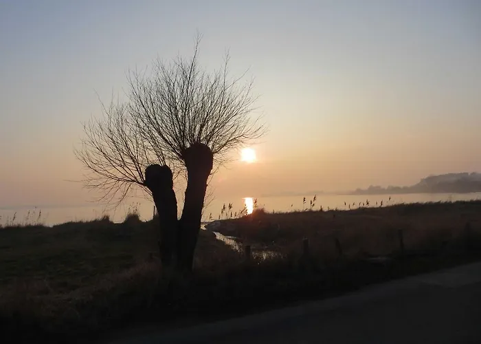 Apartmán Waldrose Sellin (Rugen)