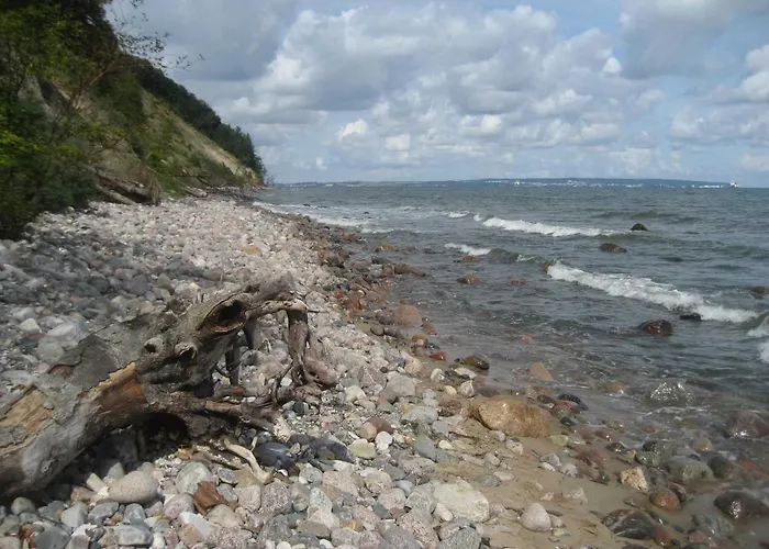 Waldrose * Sellin (Rugen)