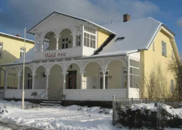 Waldrose * Sellin (Rugen)